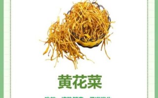 孕妇可以吃黄花菜吗_孕妇吃黄花菜对胎儿好吗