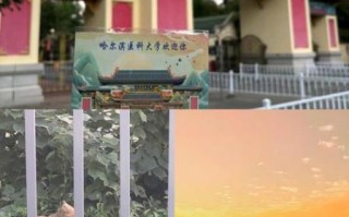 哈尔滨医科大学怎么样_哈尔滨医科大学值得报考吗