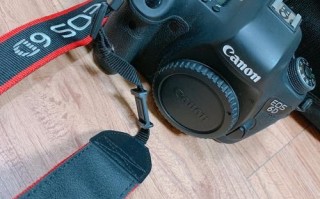 单反镜头大白值得买吗_大白镜头适合拍什么