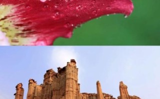 佳能广角定焦镜头推荐_哪款适合风光摄影