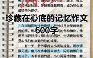 总有一种记忆值得珍藏_如何写好600字作文