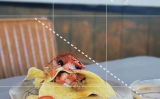 食品拍摄镜头怎么选_美食摄影用什么镜头