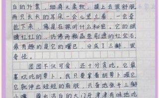 四年级下册作文怎么写_四年级下册作文写什么好