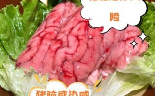 孕妇可以吃猪脑吗_猪脑对孕妇有什么影响
