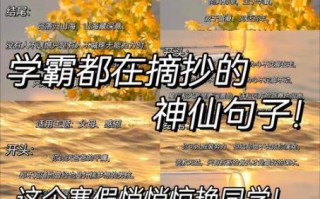 作文中惊艳的神仙句子怎么写_神仙句子摘抄大全