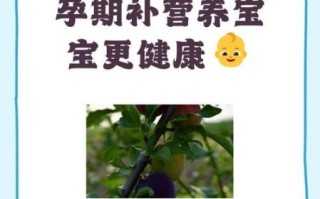 李子孕妇可以吃吗_李子对胎儿有影响吗