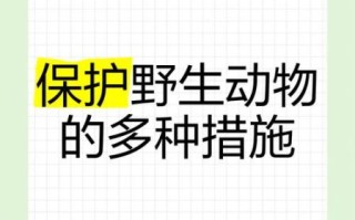 为什么要保护动物_如何保护野生动物