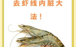 孕妇可以吃基围虾吗_孕妇吃基围虾注意事项