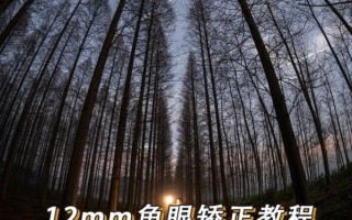 鱼眼镜头校正怎么做_鱼眼镜头畸变怎么修复