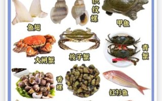 孕妇能吃海鲜吗初期_怀孕初期吃哪些海鲜安全