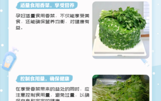 孕妇可以吃香菜吗_怀孕吃香菜安全吗