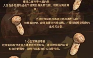 孕妇可以吃松茸吗_松茸对孕妇的好处与风险