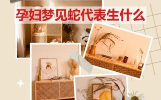 孕妇梦见蛇是生男孩吗_孕期做梦预示什么