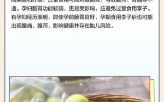 孕妇可以吃李子吗早期_孕早期吃李子注意事项