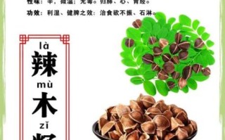 孕妇可以吃辣木籽吗_辣木籽对孕妇的影响