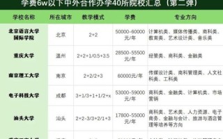 上海大学中外合作办学怎么样_学费多少