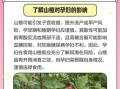 山楂孕妇能吃吗_孕期吃山楂注意事项