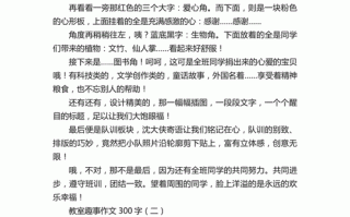 写事作文300字怎么写_写事作文300字范文