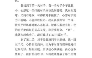 乒乓球作文怎么写_如何写乒乓球比赛作文
