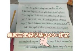 小学三年级英语作文怎么写_如何提高英语作文水平