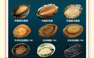 孕妇可以吃鲍鱼吗_孕期吃鲍鱼注意事项