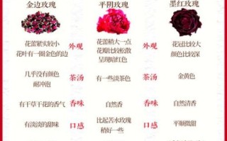 孕妇可以喝什么泡水_孕期泡水喝什么好