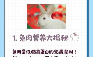 孕妇能吃兔子肉吗_孕妇吃兔子肉有什么危害