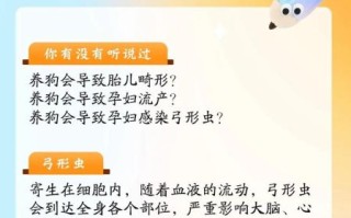 孕妇可以养狗吗_怀孕养狗注意事项