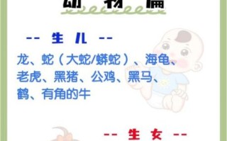 孕妇梦见老鼠是胎梦吗_孕妇梦见老鼠预示什么