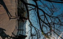 定焦镜头能拍风景吗_定焦镜头拍风景技巧