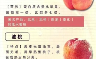 孕妇可以吃桃子吗_孕妇吃桃子的注意事项