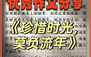 高中生如何珍惜时间_作文怎么写