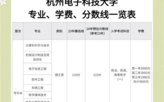 杭州电子科技大学是211吗_杭电211身份解析