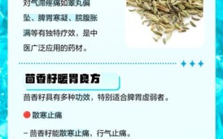 孕妇可以吃茴香吗_孕期吃茴香籽安全吗