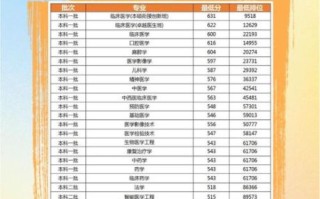 西南医科大学是一本吗_录取分数线