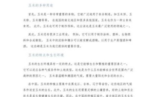 玉米作文怎么写_玉米作文开头怎么写