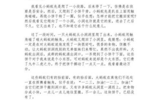 致蚂蚁的信怎么写_作文素材有哪些