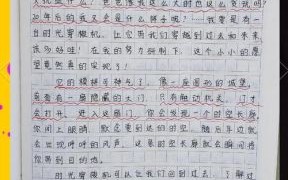 四年级下册作文怎么写_如何写出高分作文