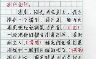 橘子人生作文怎么写_橘子人生作文素材有哪些