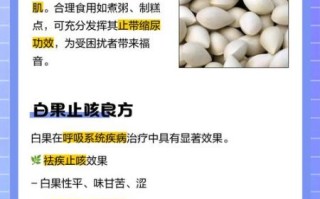 孕妇能吃白果吗_白果对胎儿的影响