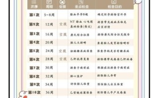 孕妇健康手册_孕期检查时间表