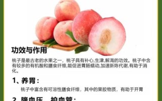 孕妇可以吃桃子吗_孕期吃桃子的注意事项