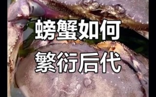 孕妇梦见螃蟹是什么意思_孕妇梦见螃蟹生男生女
