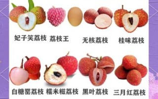 孕妇吃荔枝对胎儿好吗_孕妇吃荔枝注意事项