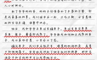 美好的一天作文300字怎么写_如何写出高分范文