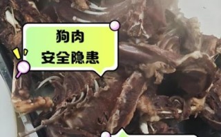 孕妇能吃狗肉吗_孕期饮食禁忌