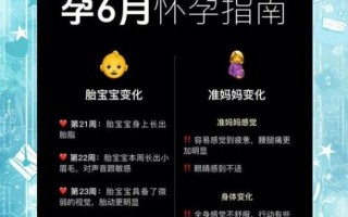 六个月孕妇吃什么好_六个月孕妇注意事项