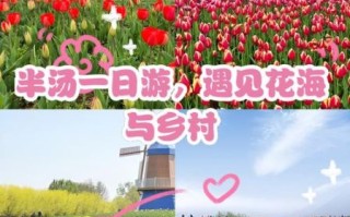 郁金香高地门票多少钱_郁金香高地最佳观赏时间