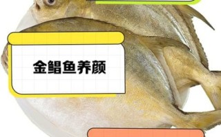 孕妇可以吃金鲳鱼吗_金鲳鱼营养价值与禁忌