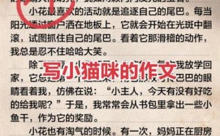 三年级写猫的作文怎么写_描写小猫的作文技巧